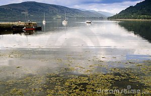 loch-fyne-2